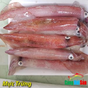 Cá Sơn Đỏ